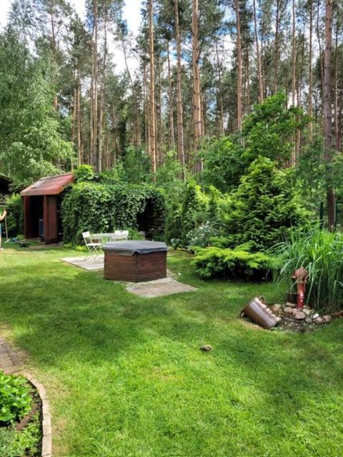 Dom Wakacyjny Merlin Nad Jeziorem Jodlow Slawa Radzyn Exterior foto